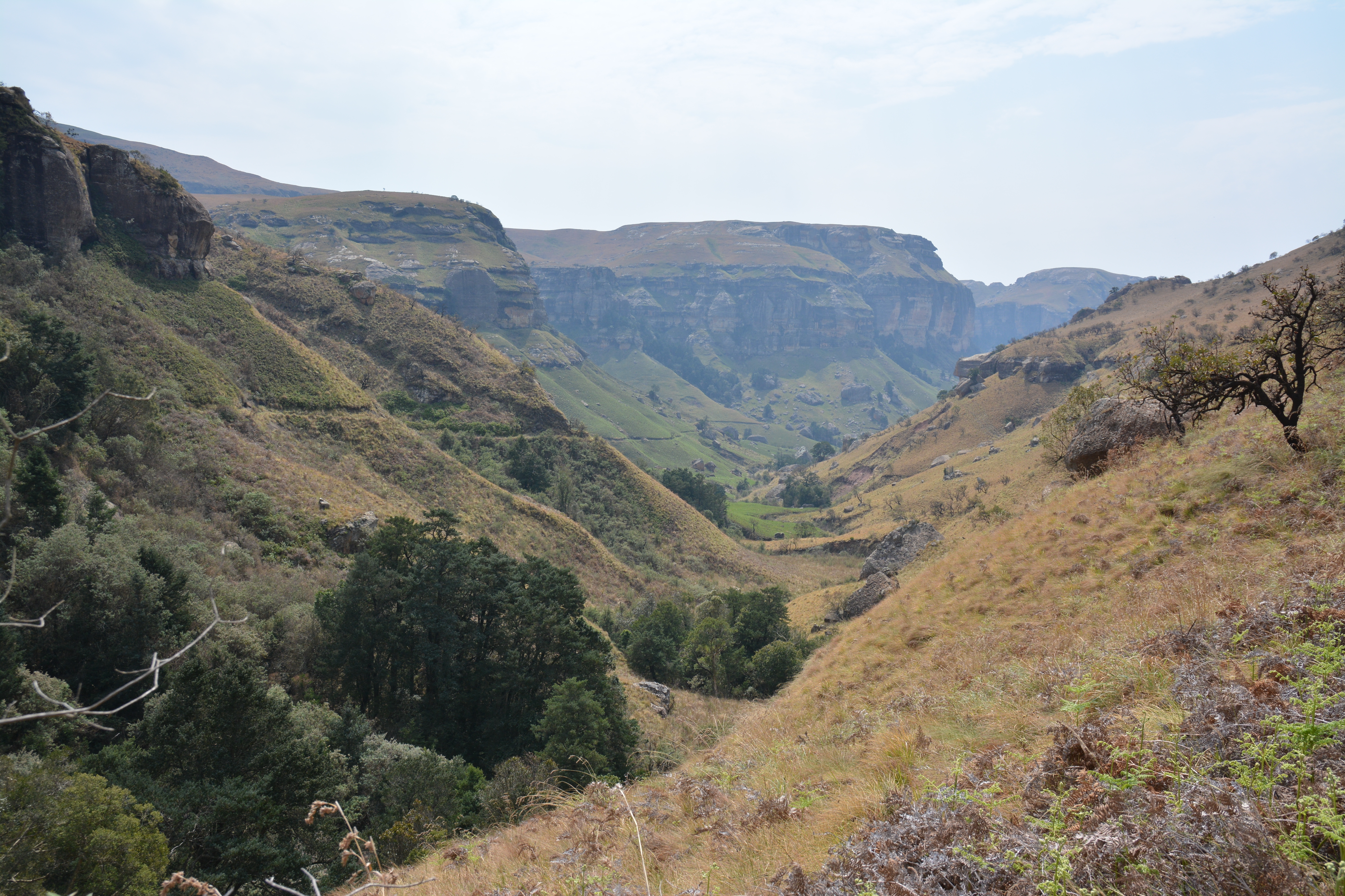 Wandeling vanuit Witsieshoek in Royal Natal in de Drakensbergen