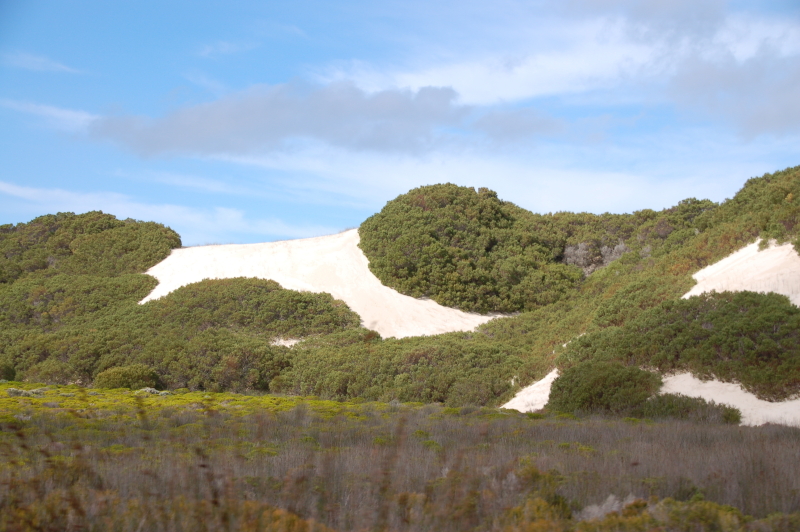 Duinen de Hoop nature reserve