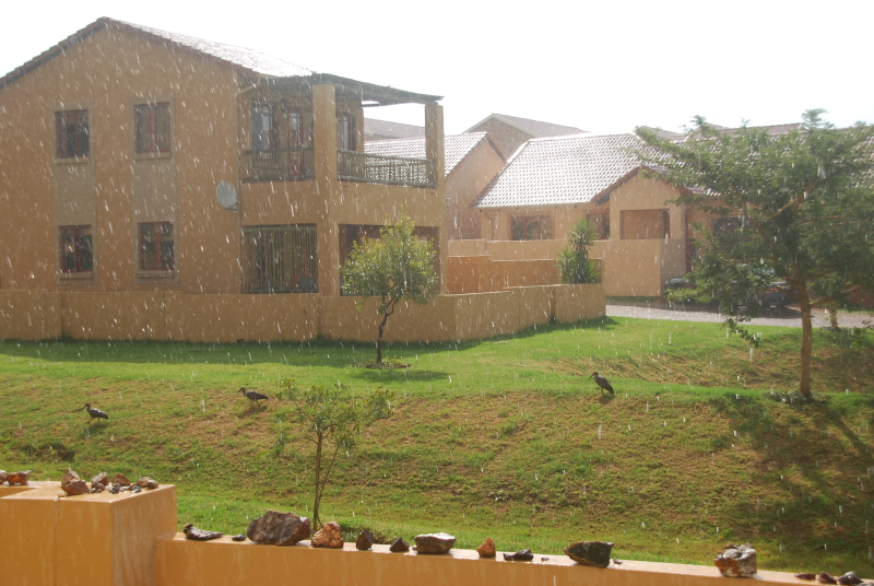 februari regenbui Roodepoort zuid-afrika