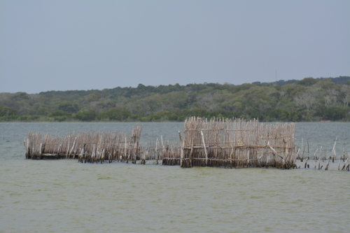 fish traps Kosi Bay