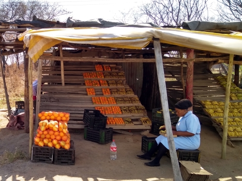fruit stall limpopo