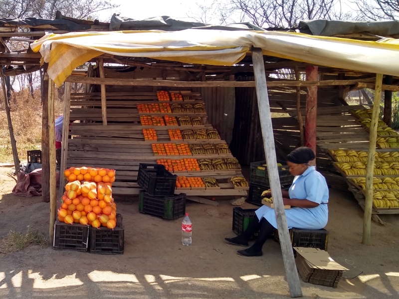 fruit stall limpopo
