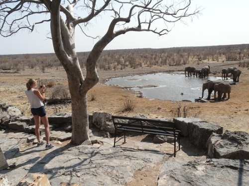 halali-waterhole