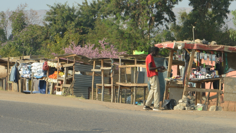 informal stalls near Pilanesberg