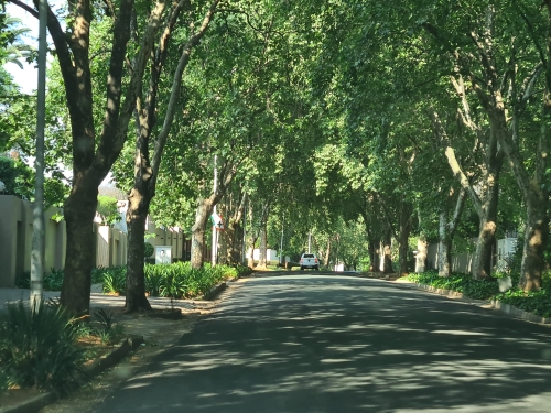 johannesburg streets
