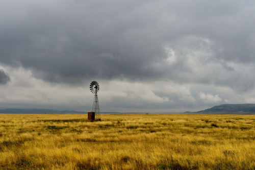 karoo