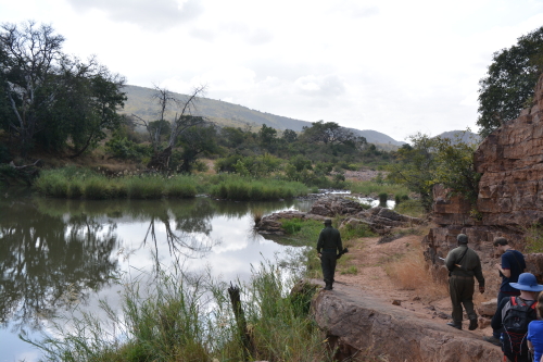 kruger walk