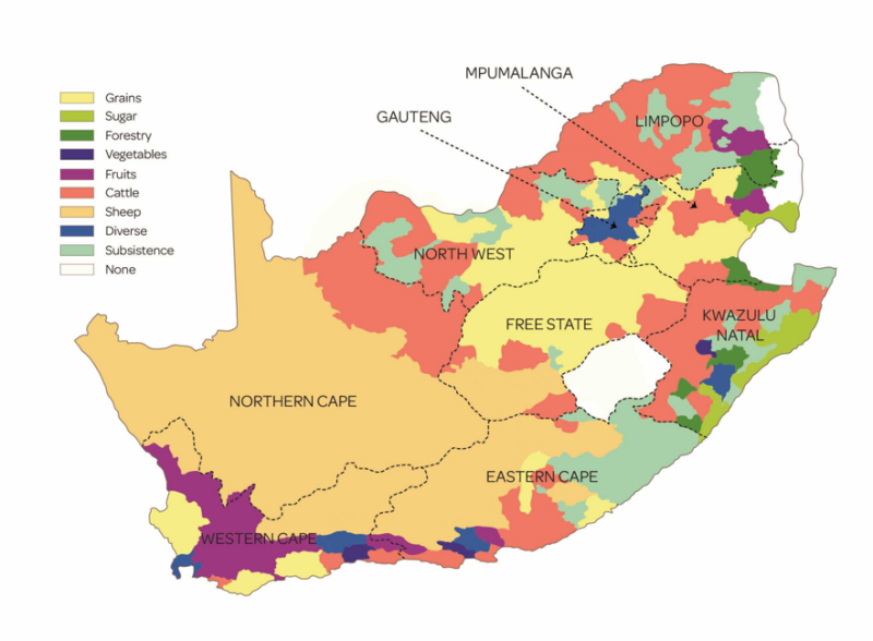 landbouw overzicht Zuid-Afrika