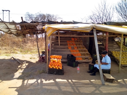 lokale fruitmarkt zuid-afrika