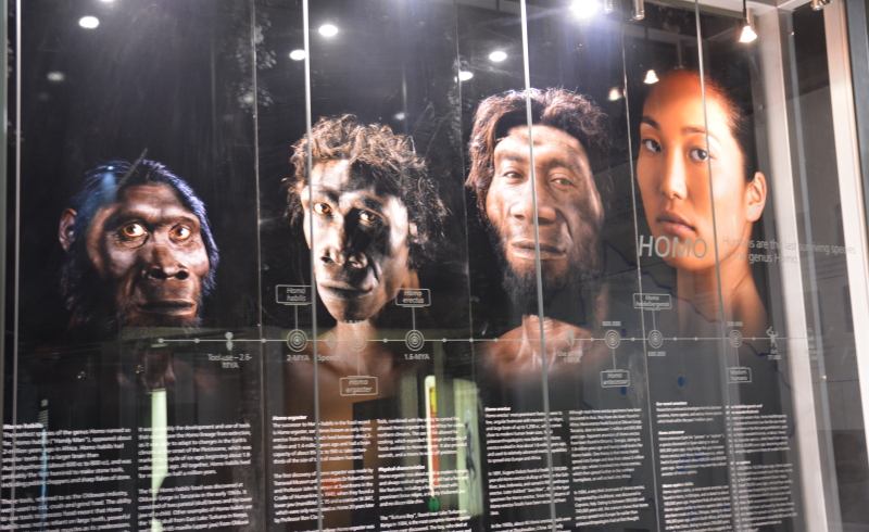 Maropeng Cradle Human Kind