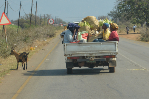 rondreis swaziland zuid-afrika
