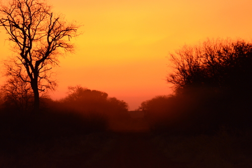 sunset zingela GR