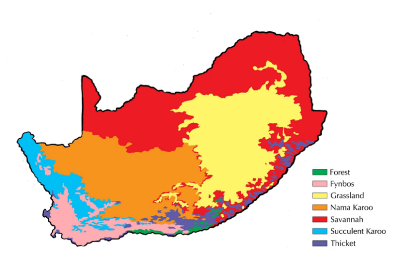 vegetatiezones Zuid-Afrika