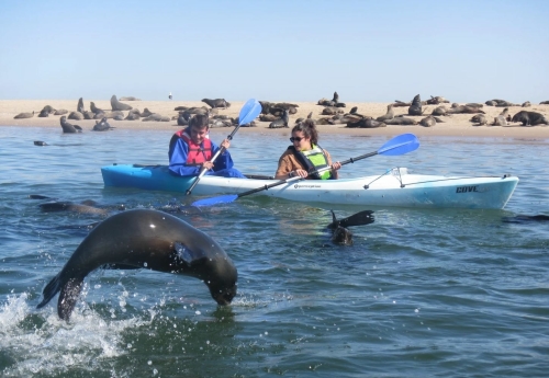 walvisbaai-kayaking