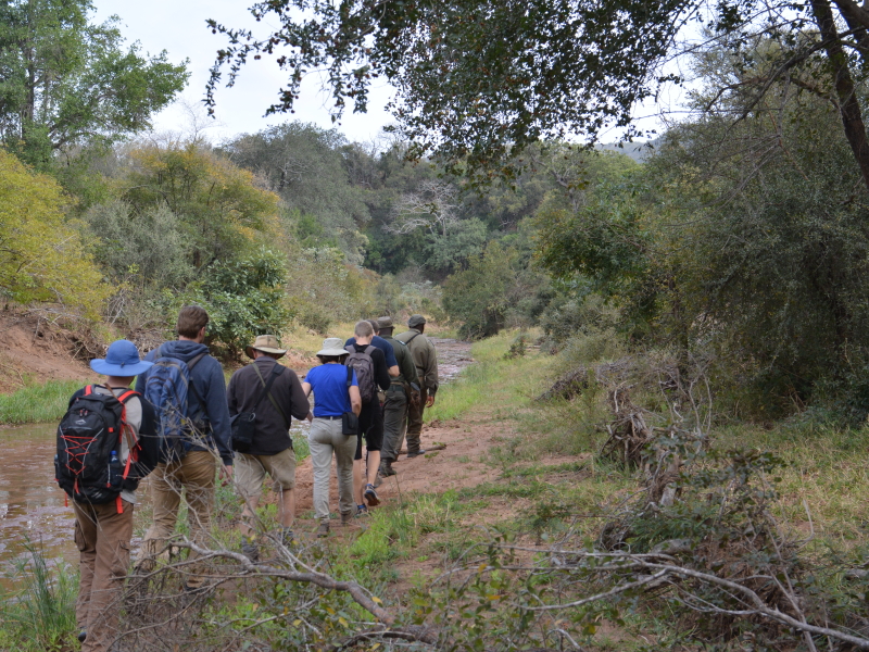 Wandelen in Kruger National Park