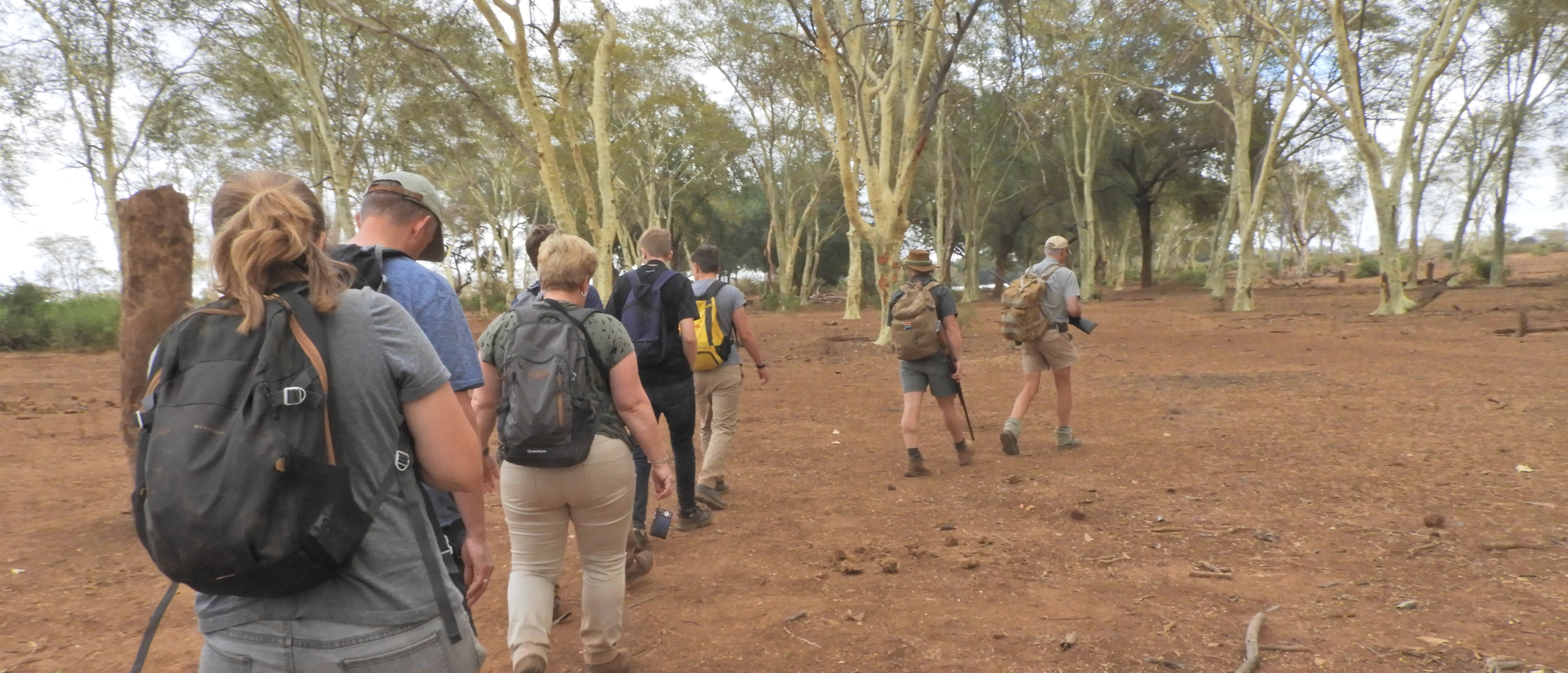 Makuleke concessie in Kruger in zeer goede staat voor wandelsafari's