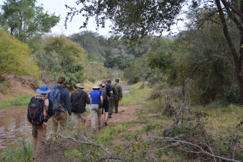 wandelsafari zuid-afrika