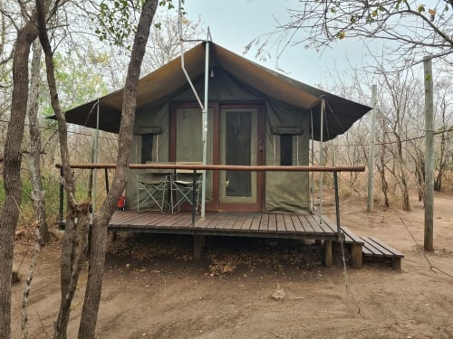 wild-olive-tree-camp
