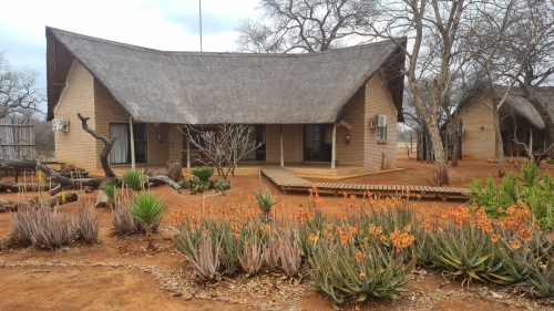 zingela game reserve