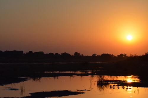 zonsondergang sabie rivier zuid-afrika