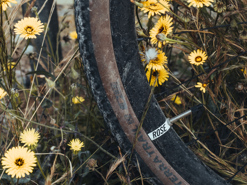 bikepacking-in-beeld-gravelbanden-rose
