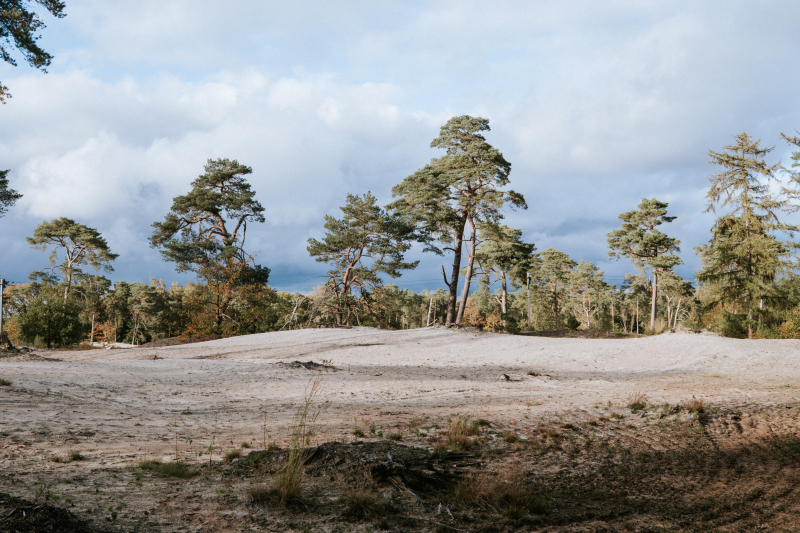 camping-de-roos-omgeving-wandelpaden