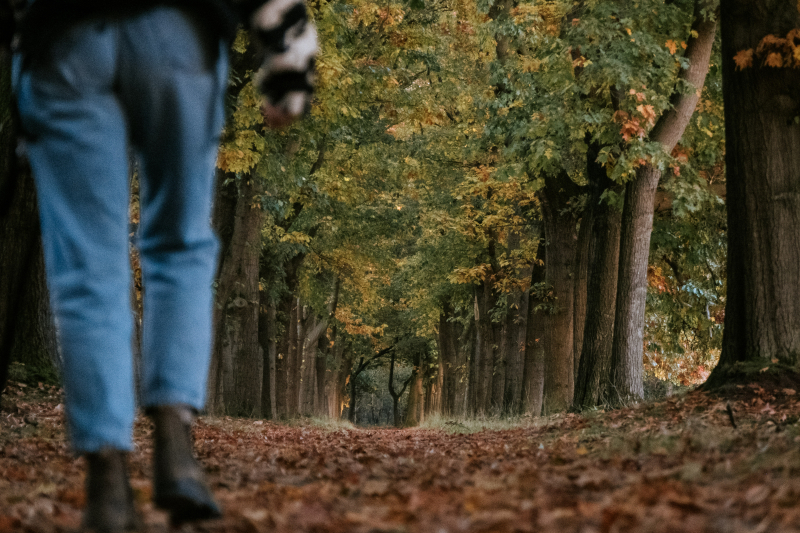 wandeling-vanaf-huttopia-de-roos-camping