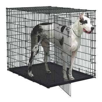 Wat is de juiste hondenbench voor mijn hond?