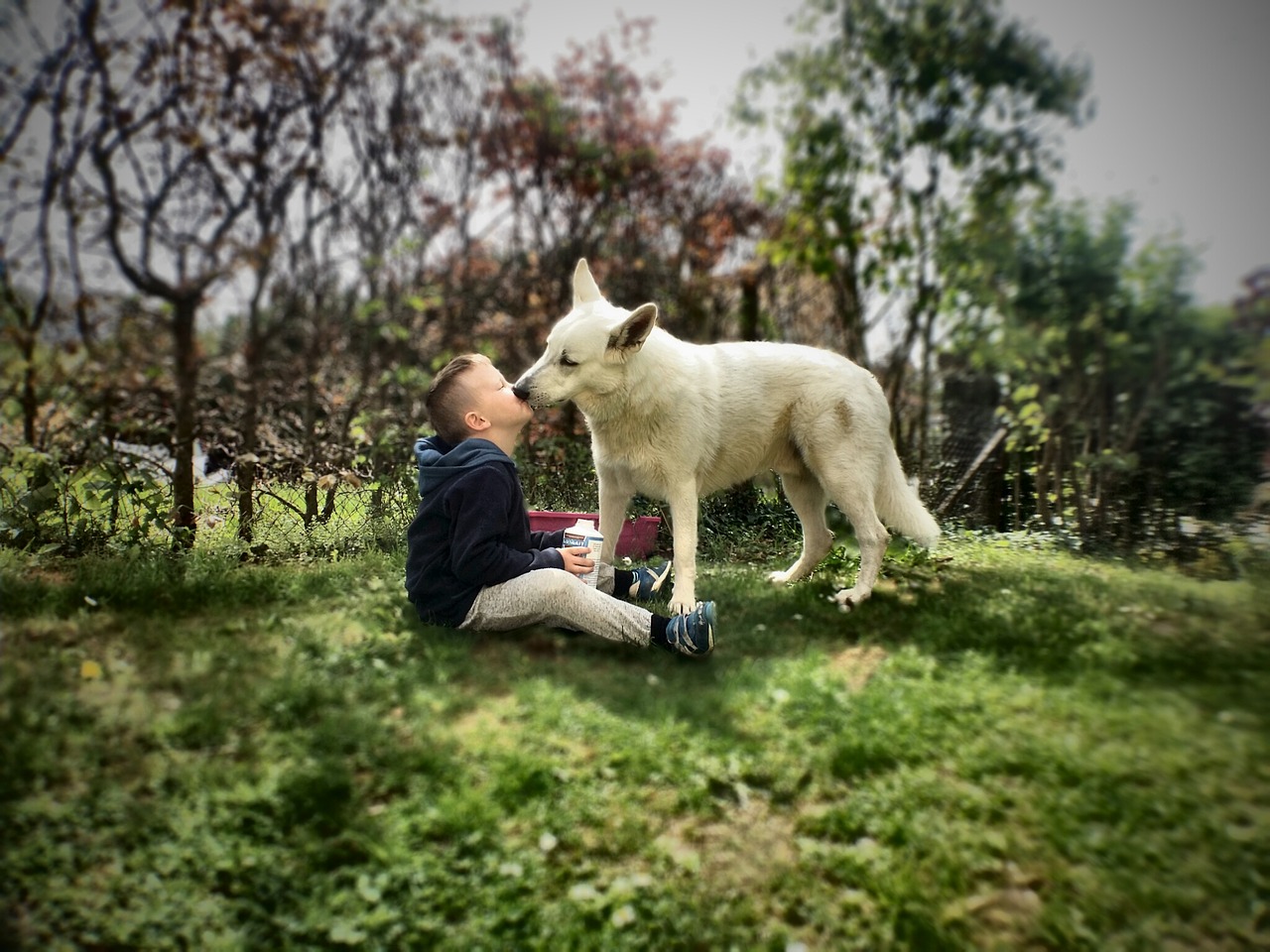 Socialisatie Pup Belangrijk voor de Toekomst van de hond!