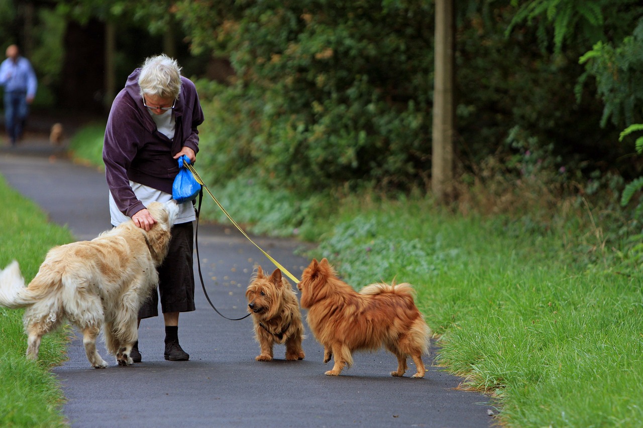 Hondenoppas, Hoe vind je de juiste oppas voor je hond