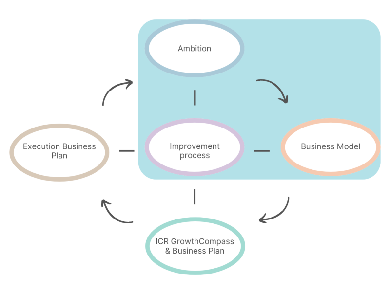 ICR cycle from ambition to results vs subscription Business Builder