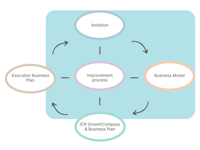 ICR cycle from ambition to results vs subscription Peak Performer