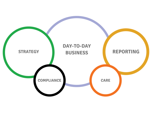 ICR Growthcircles creating structure within the ICR cycle