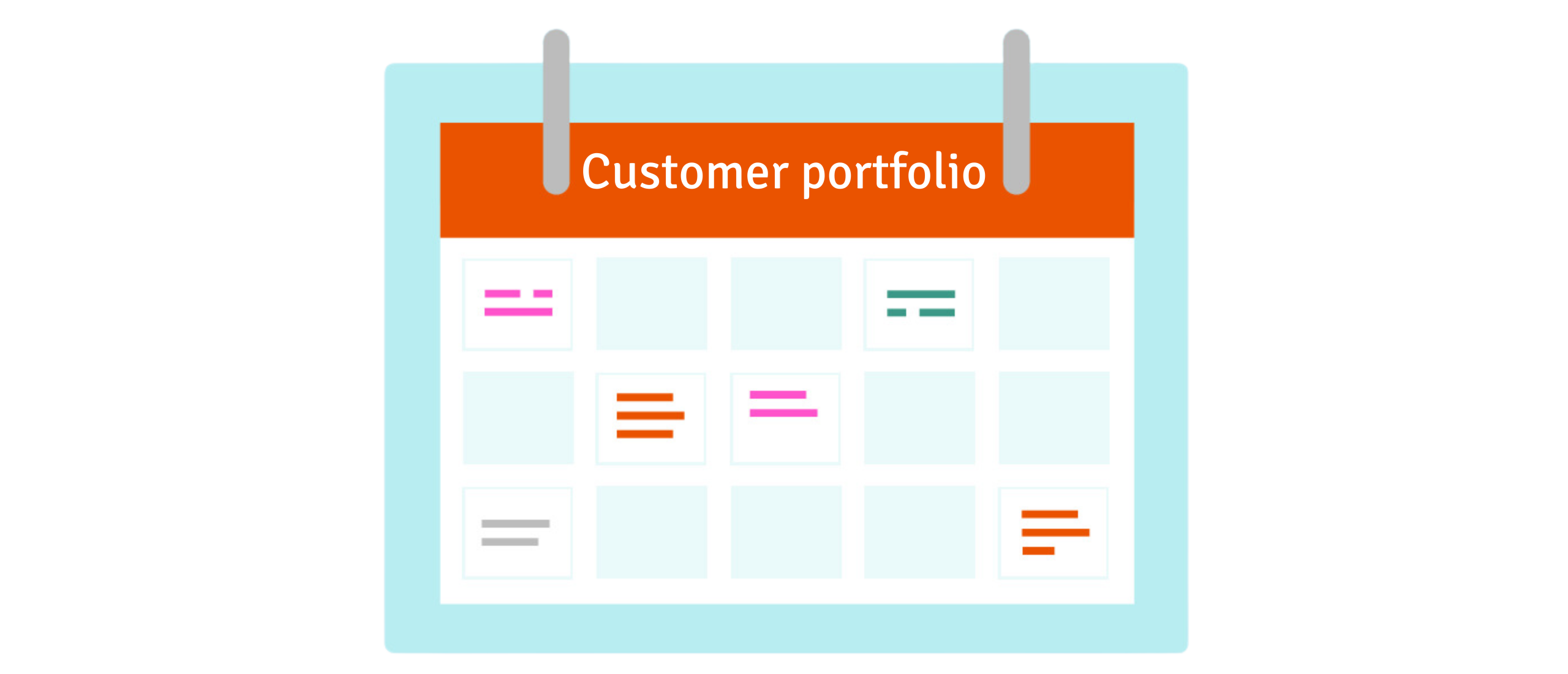 what is customer portfolio