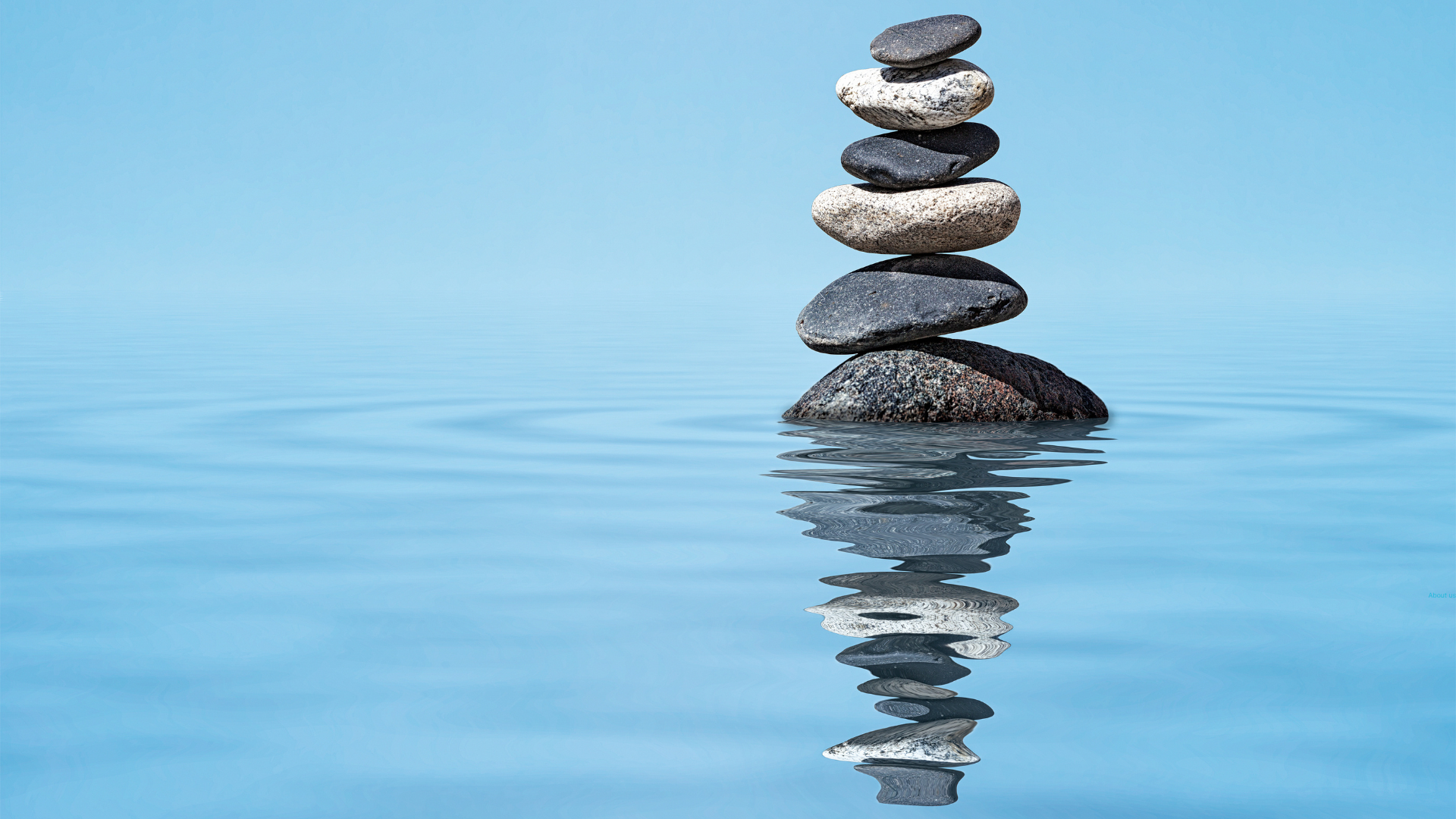 Balance and peace of mind for people and organization with the ICR Growth & Success SaaS Platform Balance and peace of mind for people and organization with the ICR Growth & Success SaaS Platform