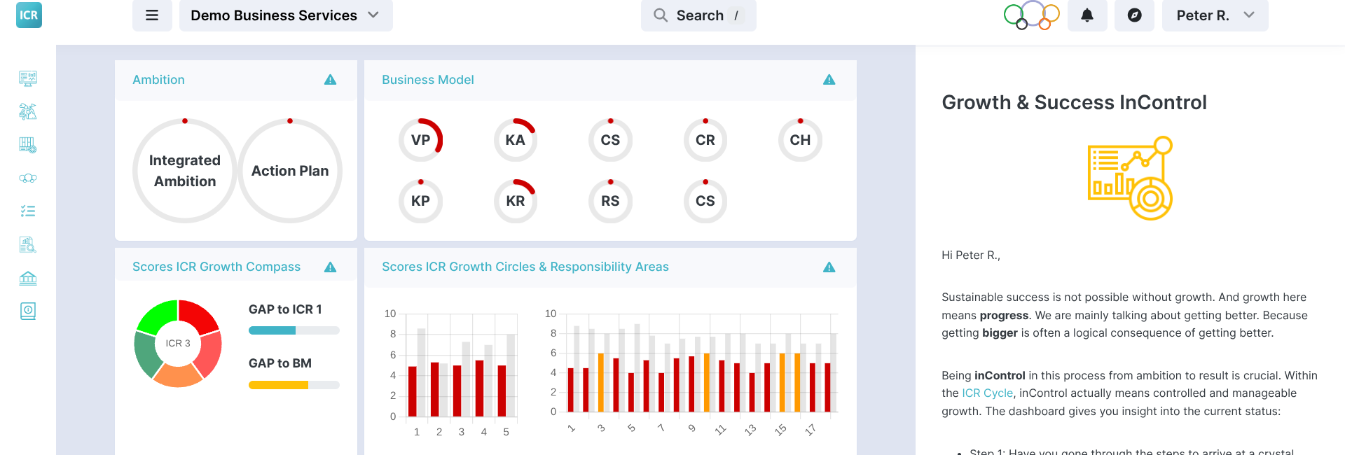 ICR Growth & Success SaaS Platform - dashboard demo