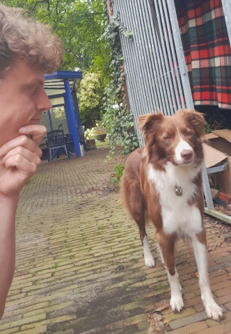 Hond Gaia