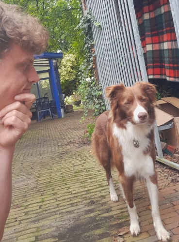 Hond Gaia Hond Gaia