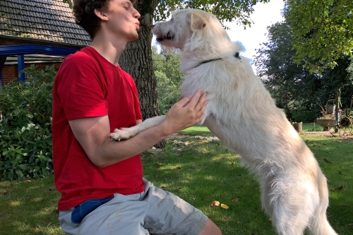 Leuke hond