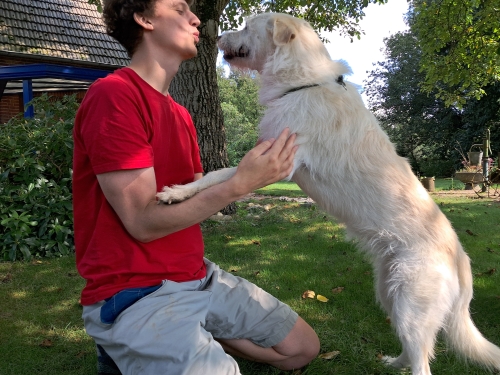 Leuke hond Leuke hond