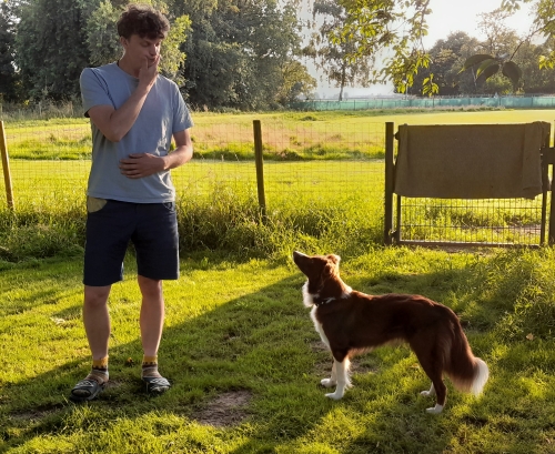 Leven hond Leven hond