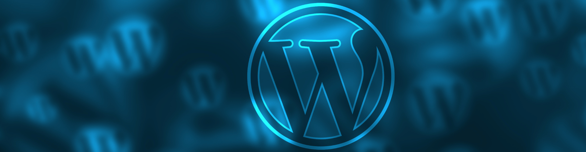 Wordpress website sneller maken