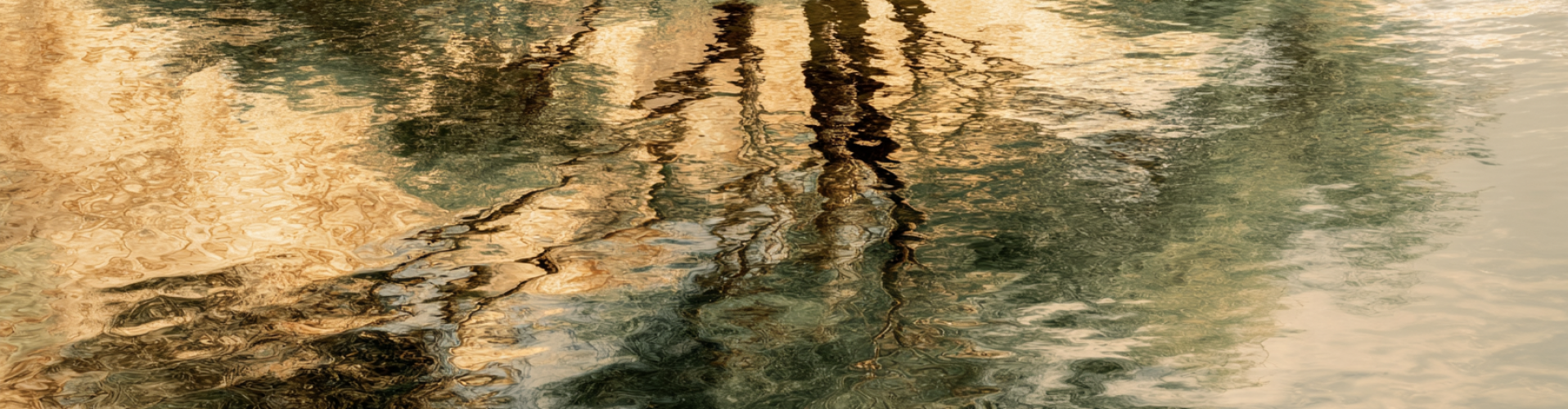 Reflectie in water bij Sacred Ground – rust en veiligheid in jezelf Reflectie van bomen in stil water, symbool voor rust, vertraging en verbinding met jezelf