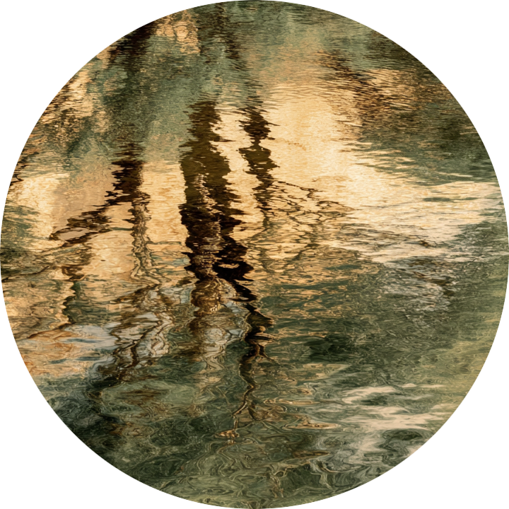 Reflectie in water bij Sacred Ground – rust en veiligheid in jezelf Reflectie van bomen in stil water, symbool voor rust, vertraging en verbinding met jezelf