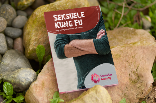 ebook seksuele kung fu