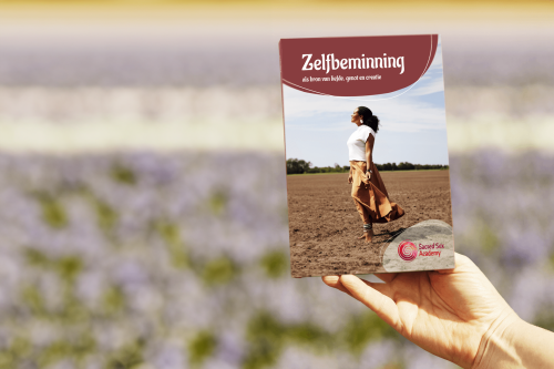 ebook zelfbeminning