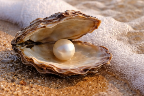 Sacred Sex Academy Seks zonder stress