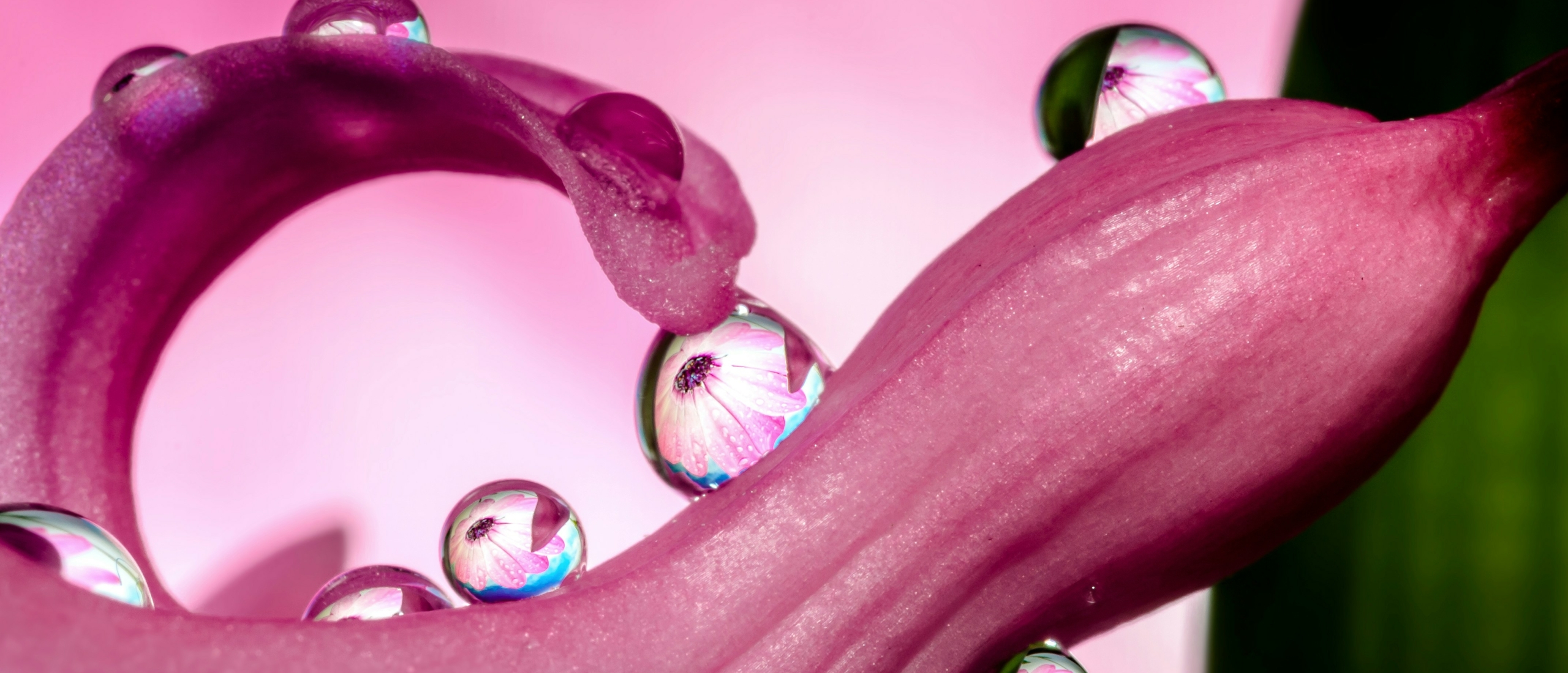 Sacred Sex Academy Yoni-ei