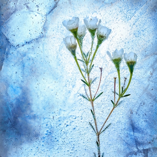 Sacred Sex Oase