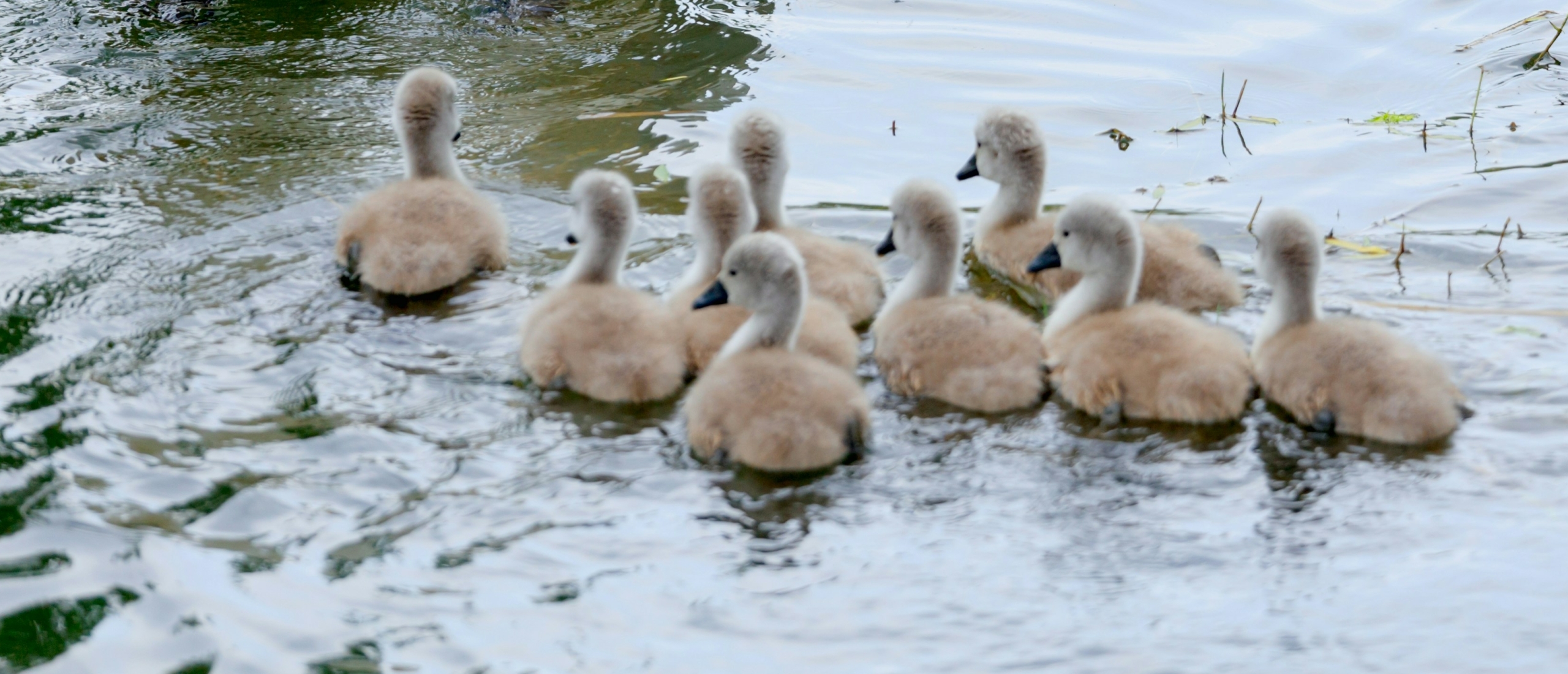 seksueel misbruik - sacred sex academy